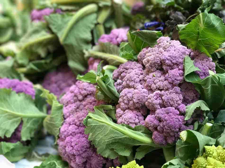 Healthy Fresh Vegetables